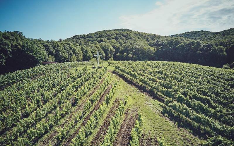 Vinopresso Gmbh - Cafe Roemer Prichsenstadt Zewnętrze zdjęcie
